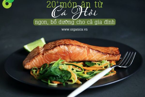 20 + món ăn từ cá hồi ngon, bổ dưỡng cho cả gia đình