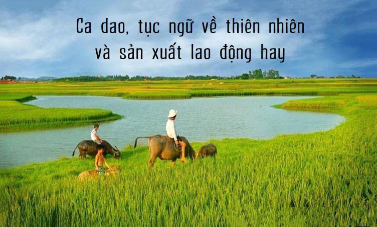 Những câu ca dao tục ngữ nói về thiên nhiên và lao động sản xuất