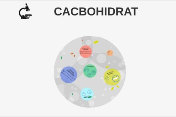 Cacbohidrat là gì? Định nghĩa, Tính chất, Ứng dụng và Cách điều chế