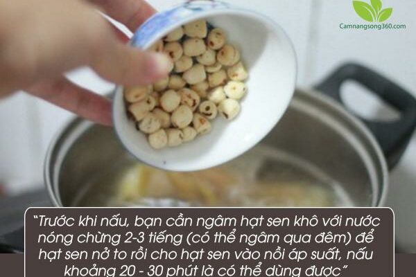 Cách nấu hạt sen khô, hạt sen tươi mau mềm, không bị sượng, nát