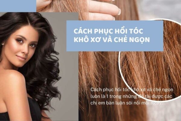 Top 20 cách phục hồi tóc khô xơ và chẻ ngọn “chuẩn” tại nhà