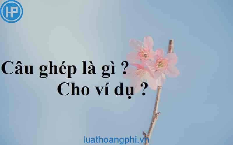 Câu ghép là gì? Ví dụ về câu ghép