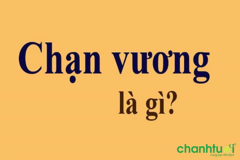 Chạn vương là gì? Hiểu đúng về ý nghĩa của từ lóng chạn vương