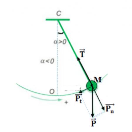 Con Lắc Đơn Là Gì? Công Thức, Vận Tốc, Chu Kỳ Và Tần Số