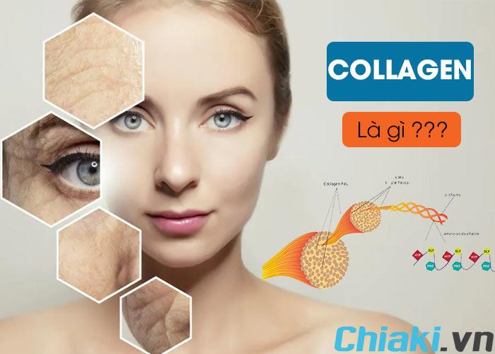 Collagen