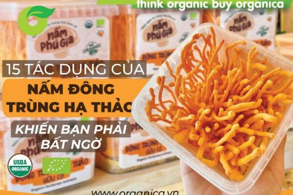 15 tác dụng của nấm đông trùng hạ thảo khiến bạn phải bất ngờ