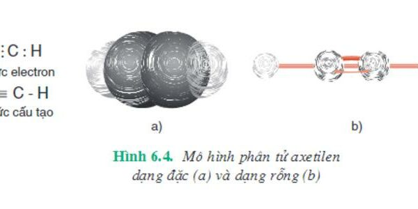 Ankin là gì? Lý thuyết và giải bài tập chi tiết