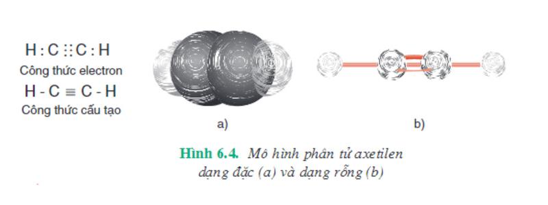 Ankin là gì? Lý thuyết và giải bài tập chi tiết