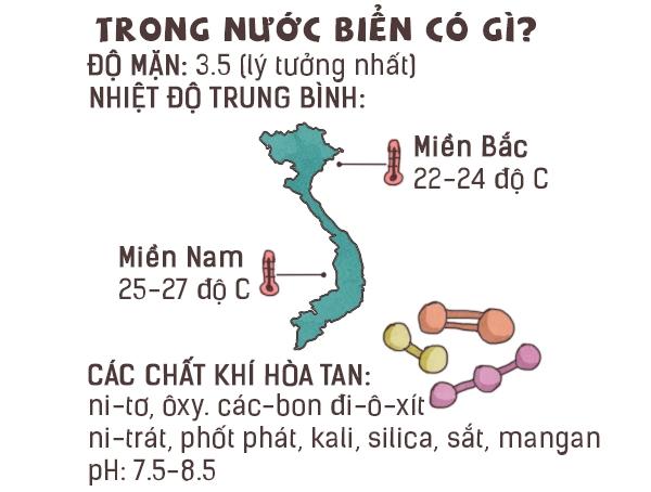 Nước biển