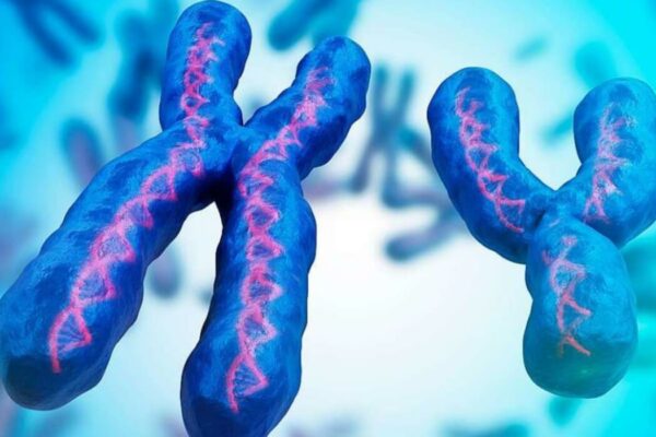 Đột biến nhiễm sắc thể là gì? Gây bệnh gì?
