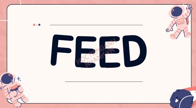 Quá khứ của Feed là gì? Cách chia động từ Feed trong tiếng Anh