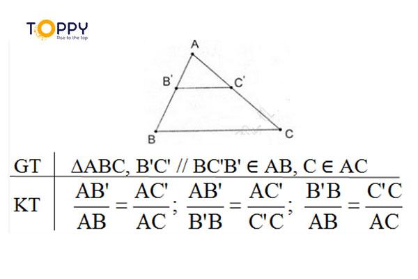 Định lí Ta lét trong tam giác và những hệ quả bạn cần biết