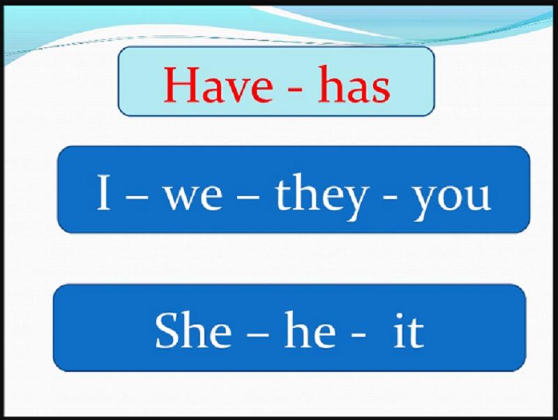 Cách dùng Have / Has và những lưu ý khi sử dụng trong tiếng Anh