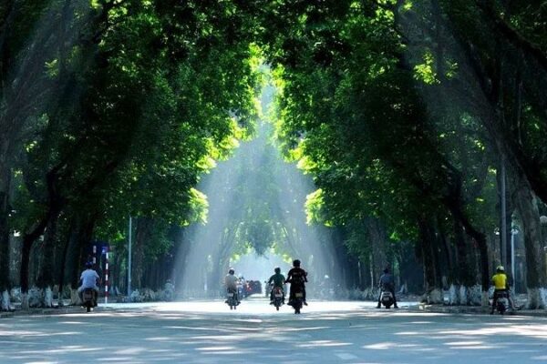 Không khí là gì? Thành phần của không khí và cách bảo vệ môi trường sống trong lành