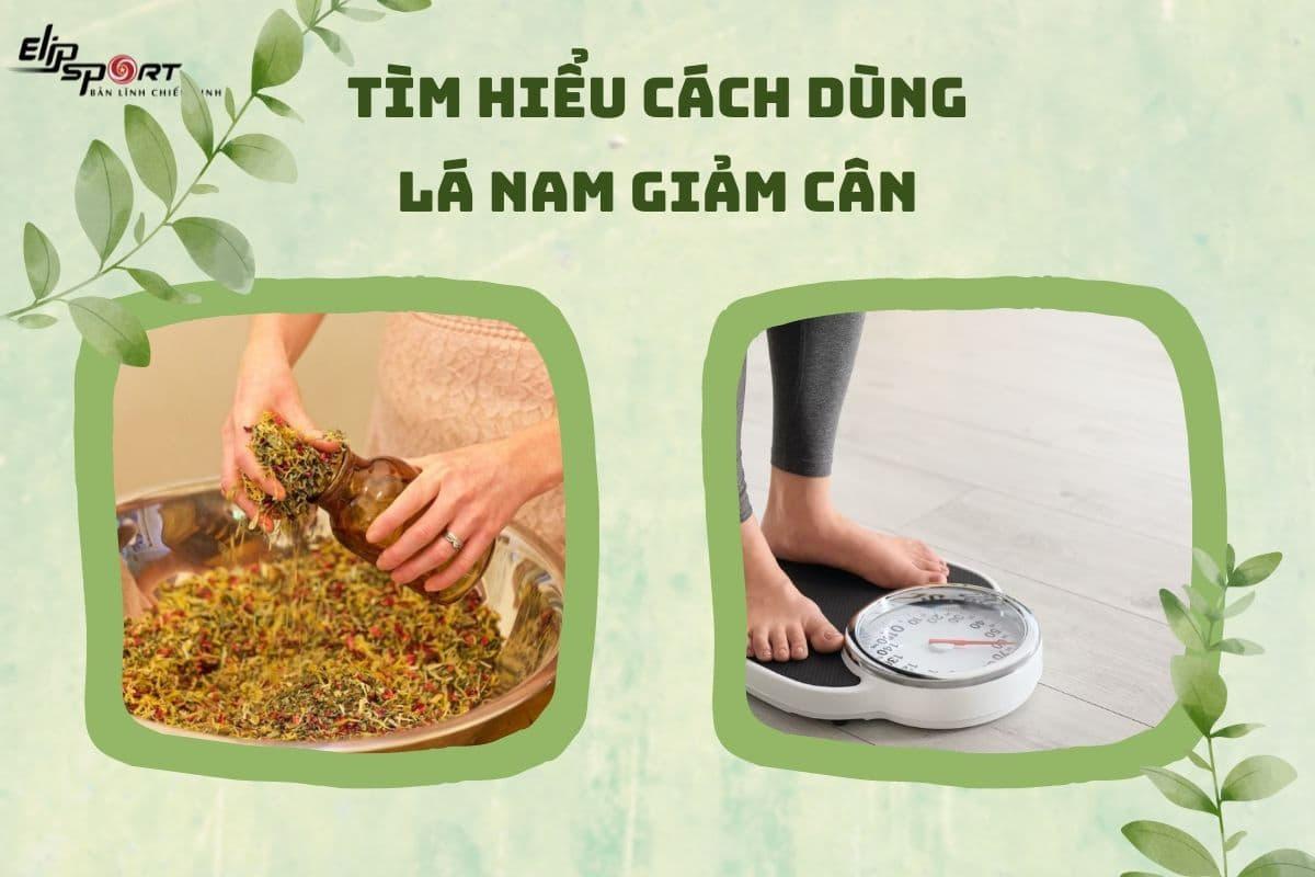 Trà lá nam giảm cân có tốt không? Cách giảm cân hiệu quả