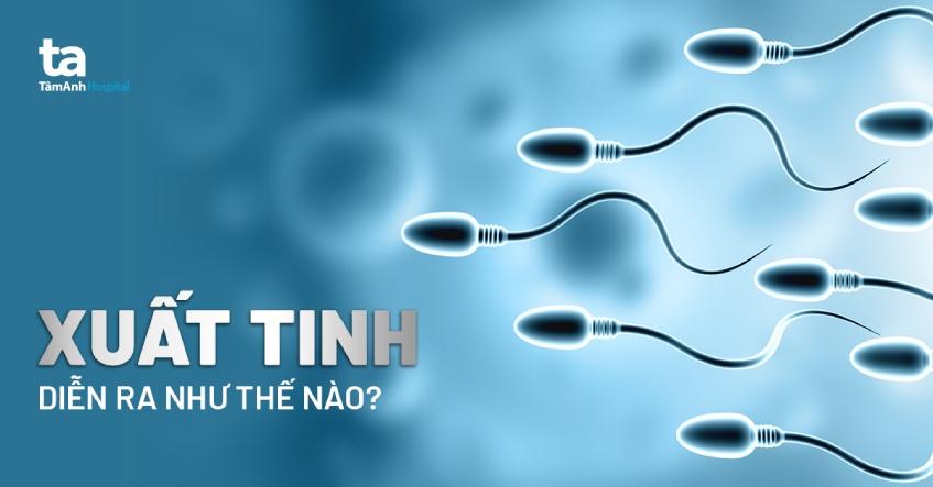 Xuất tinh là gì? Quá trình diễn ra như thế nào? Những tiềm ẩn nguy hiểm