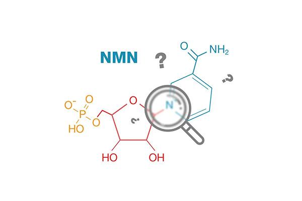Top 5 công dụng của liệu trình uống NMN mà không phải ai cũng biết