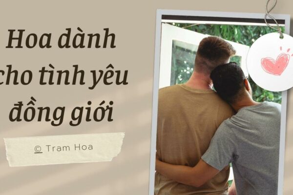 Hoa Dành Cho Tình Yêu Đồng Giới (LGBT)