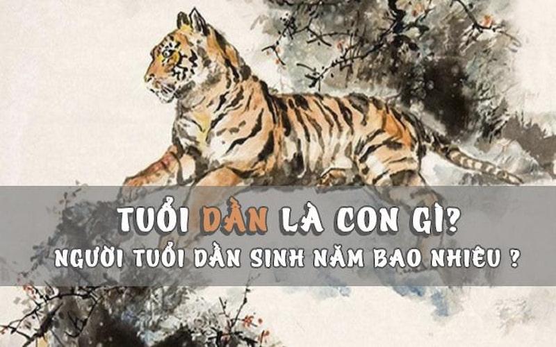 Tuổi dần sinh năm bao nhiêu? Phong thuỷ tuổi Dần tam hợp với tuổi gì?