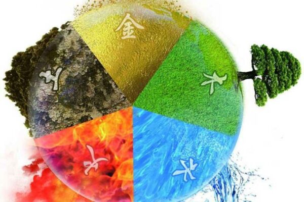Mệnh Kim và mệnh Mộc có hợp nhau không? Quan hệ tương sinh!