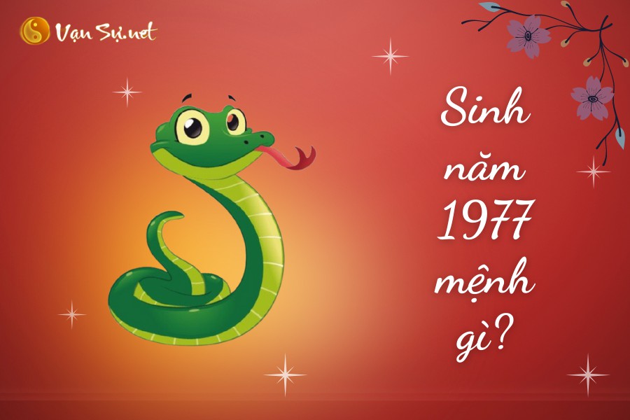 Sinh năm 1977 mệnh gì? Tuổi Đinh Tỵ hợp tuổi nào, màu gì?