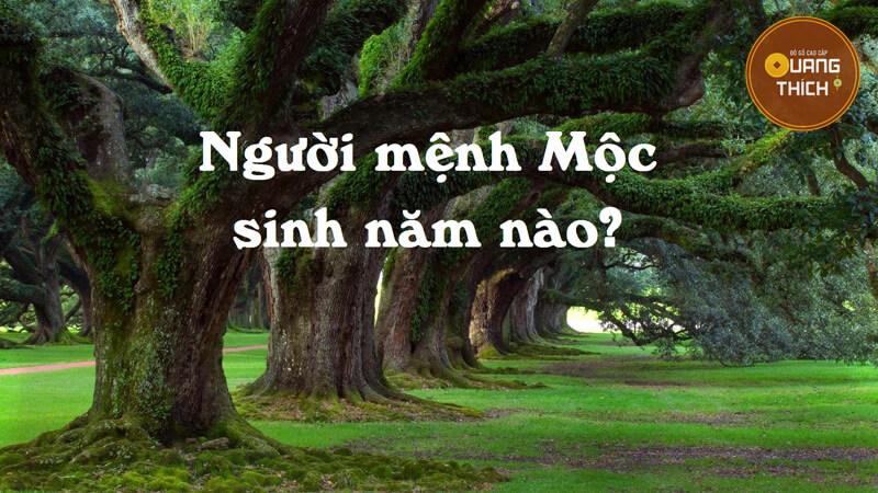 Người mệnh MỘC sinh năm nào? Bạn có phải mệnh MỘC không