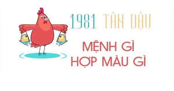 Sinh năm 1981 mệnh gì? Hợp màu gì, tuổi gì, hợp hướng nào?