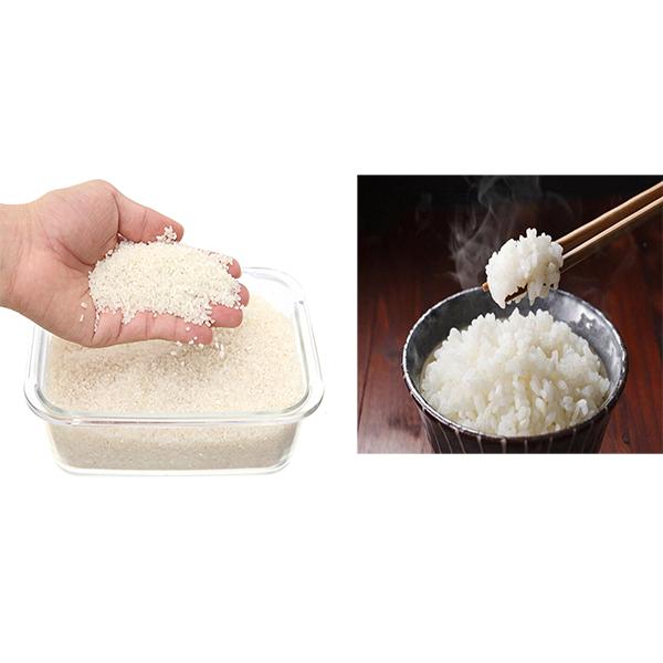 Cách tính: 1Kg gạo nấu được bao nhiêu kg cơm?