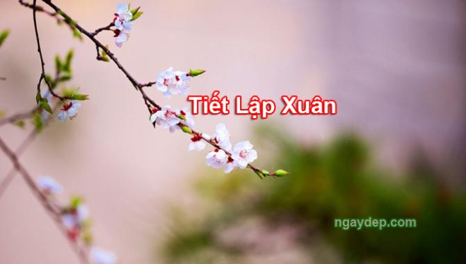 Lập xuân 2023 vào ngày nào