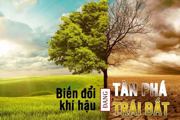 Biến đổi khí hậu là gì? Nguyên nhân, thực trạng biến đổi khí hậu ở Việt Nam