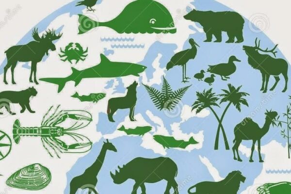 Đa dạng sinh học là gì? Nguyên nhân, biện pháp hạn chế suy giảm đa dạng sinh học                                                                                         	                                                                                                 