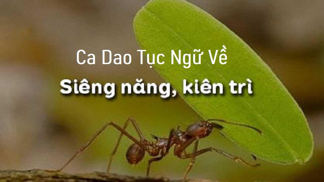 Những câu ca dao tục ngữ nói về tính siêng năng kiên trì