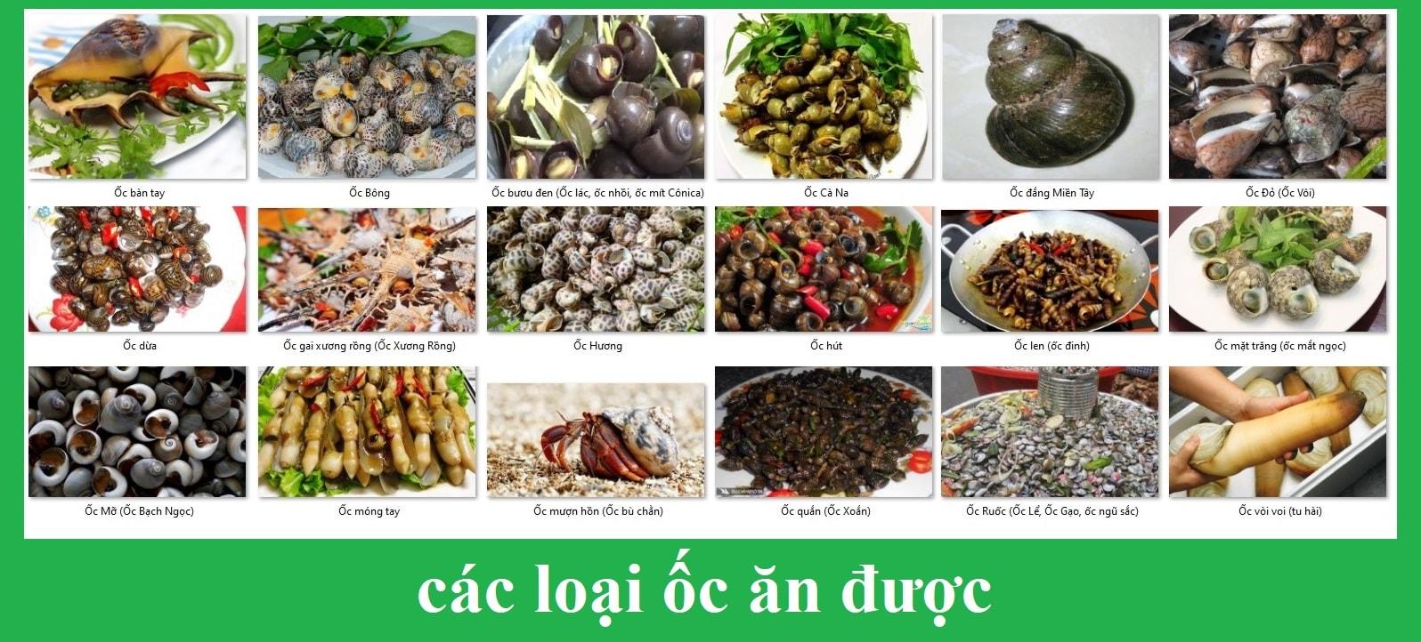 Dịch vụ quảng cáo online