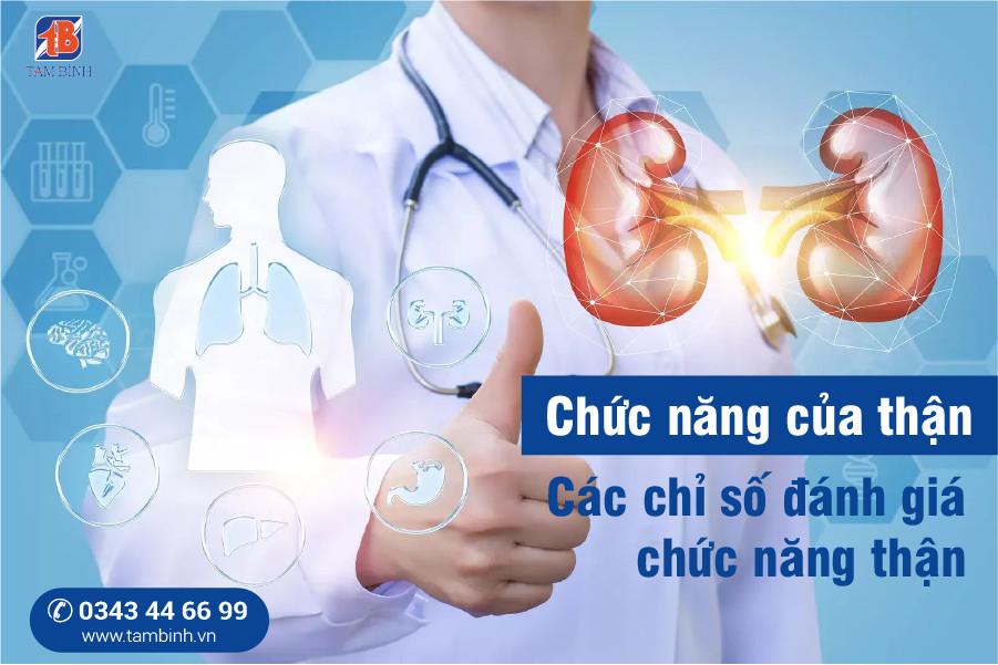 Chức năng thận là gì? Phương pháp đánh giá và cải thiện