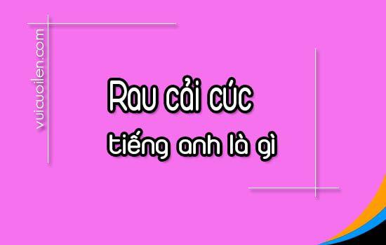 Rau cải cúc tiếng anh là gì và đọc như thế nào cho đúng