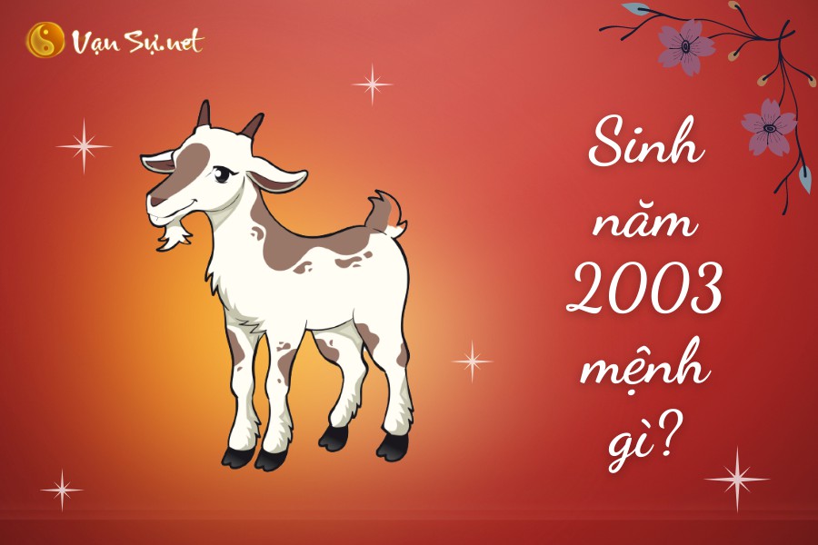 Sinh Năm 2003 Mệnh Gì? Tuổi Quý Mùi Hợp Tuổi Nào, Màu Gì?