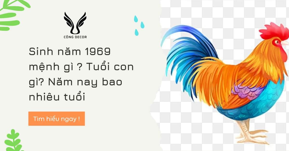 Sinh năm 1969 mệnh gì? tuổi con gì? Năm nay bao nhiêu tuổi 2023