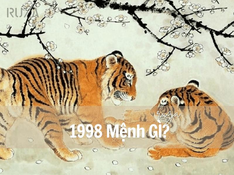 Tuổi Mậu Dần 1998 Mệnh Gì? Hợp Với Tuổi Gì, Hợp Màu Gì?