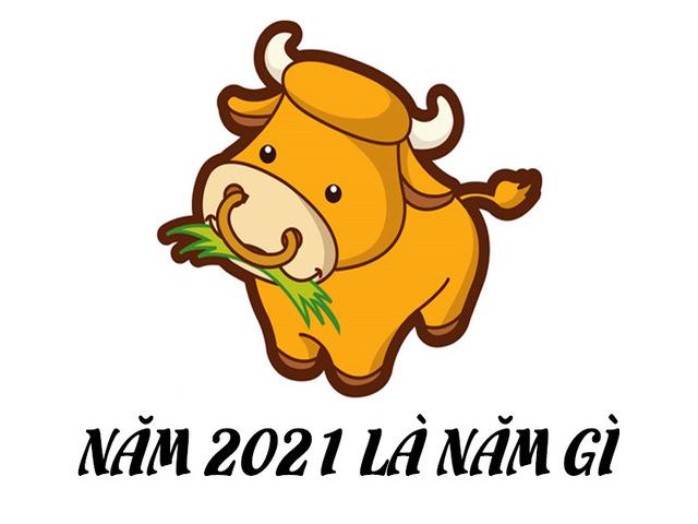 Sinh con năm 2021 là mệnh gì, hợp tuổi nào?