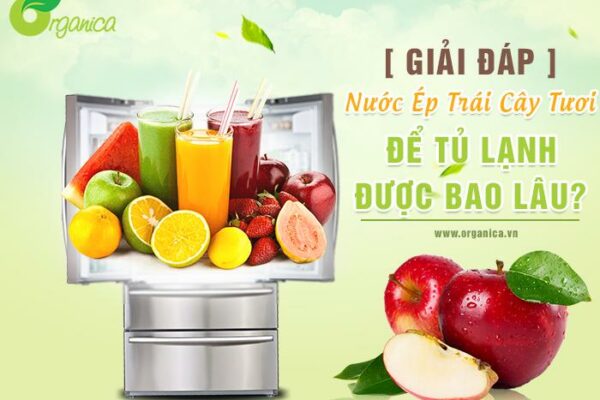 [Giải đáp] Nước ép trái cây tươi để tủ lạnh được bao lâu?