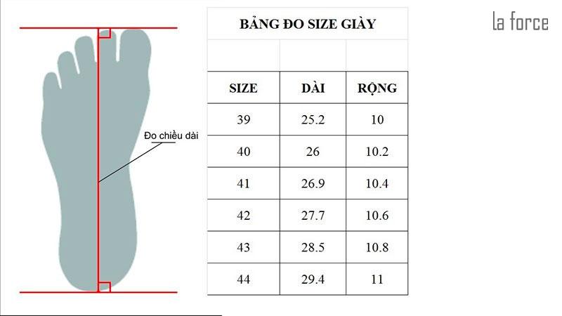 Bảng size giày nam nữ trẻ em US UK EU quốc tế chuẩn nhất