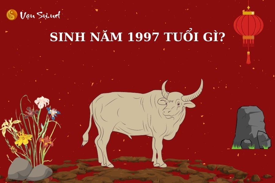 Sinh năm 1997 mệnh gì? Tuổi Đinh Sửu hợp tuổi nào, màu gì?