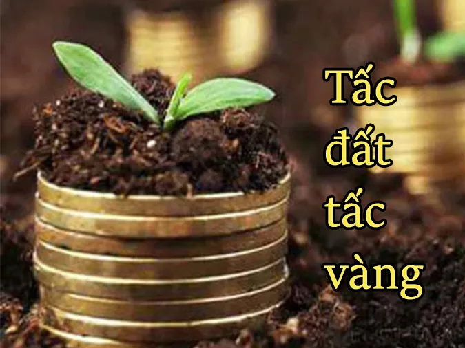 Giải thích ý nghĩa câu tục ngữ ‘Tấc đất tấc vàng’ nói đến điều gì?