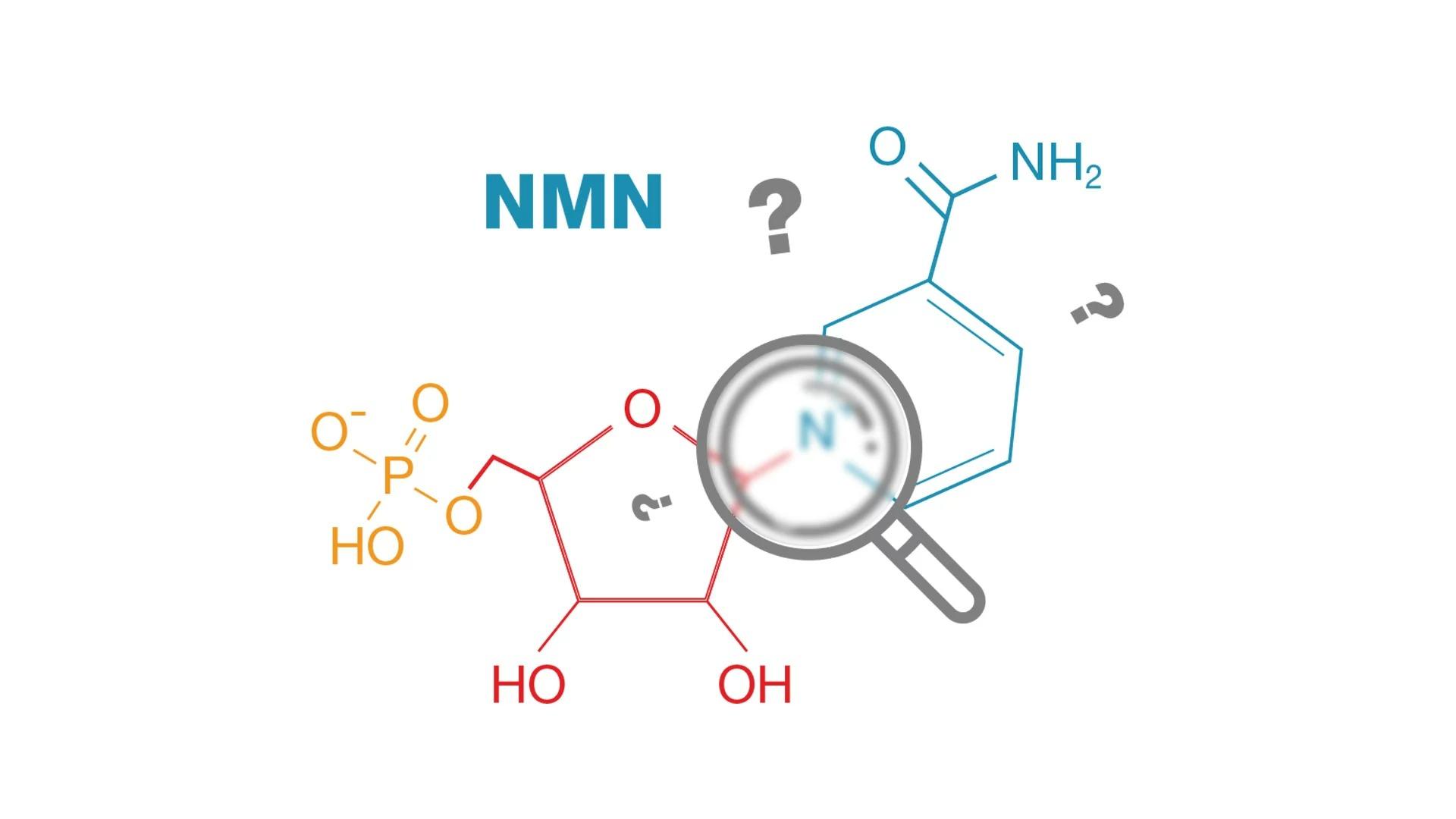 NMN - “thần dược” chống lão hóa, phục hồi sức khỏe của người Nhật