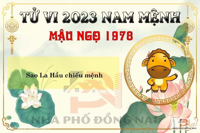 Xem Tử Vi Tuổi Mậu Ngọ 1978 Năm 2023 Nam Mạng