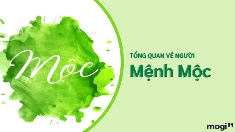 Mệnh Mộc Hợp Mệnh Gì, Khắc Mệnh Gì? Hợp Tuổi Nào Để Làm Ăn Thuận Lợi