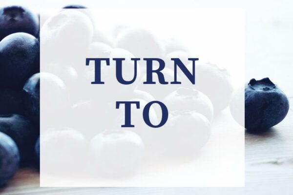Turn To là gì và cấu trúc cụm từ Turn To trong câu Tiếng Anh