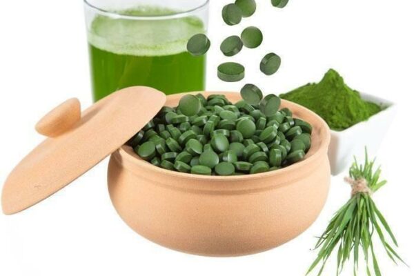 Uống tảo biển bao lâu thì có tác dụng