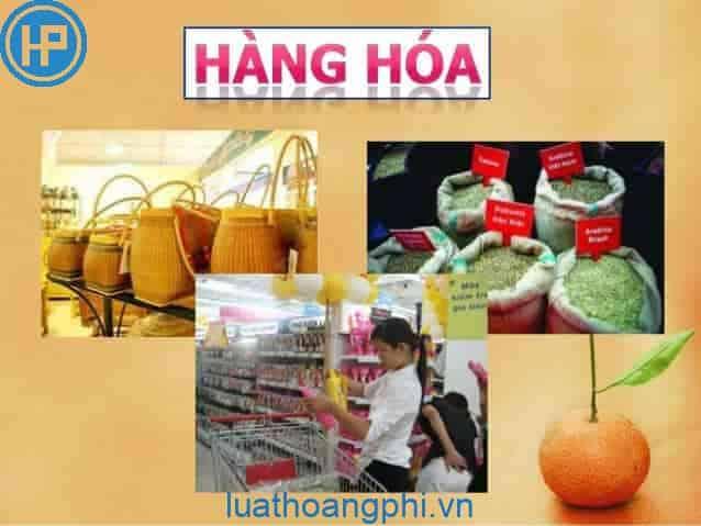 Ví dụ về hàng hóa