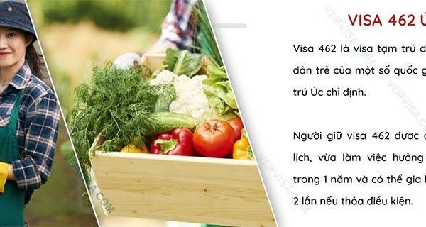 Cách xin visa 462 để vừa du lịch, vừa làm việc tại Úc năm 2023!